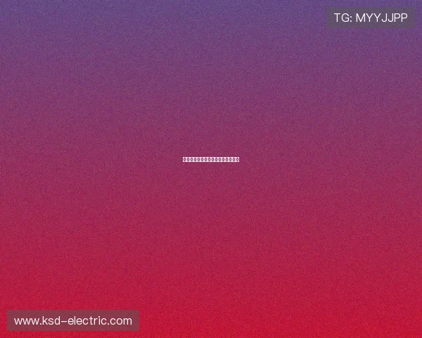 本菲卡中卫席尔瓦续约计划提上日程